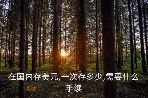 在國內存美元,一次存多少,需要什么手續(xù)
