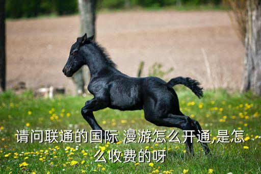 請(qǐng)問(wèn)聯(lián)通的國(guó)際 漫游怎么開通,是怎么收費(fèi)的呀