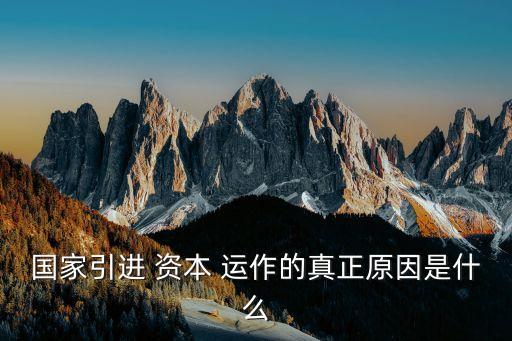 國家引進 資本 運作的真正原因是什么