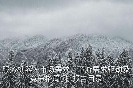 服務(wù)機(jī)器人市場(chǎng)需求、下游需求驅(qū)動(dòng)及競(jìng)爭(zhēng)格局(附 報(bào)告目錄