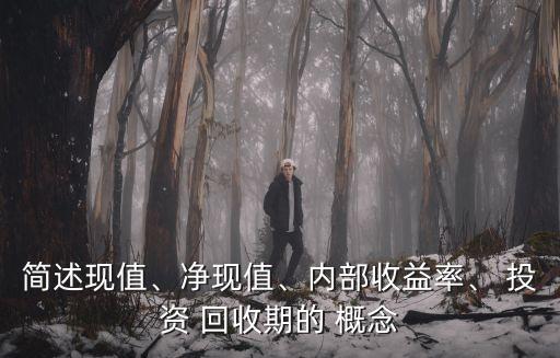 簡(jiǎn)述現(xiàn)值、凈現(xiàn)值、內(nèi)部收益率、 投資 回收期的 概念
