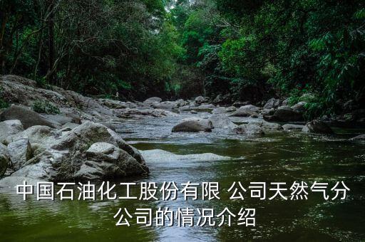 中國(guó)石油化工股份有限 公司天然氣分 公司的情況介紹