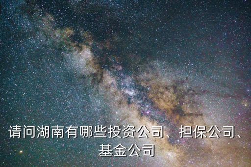 請(qǐng)問(wèn)湖南有哪些投資公司、擔(dān)保公司、 基金公司