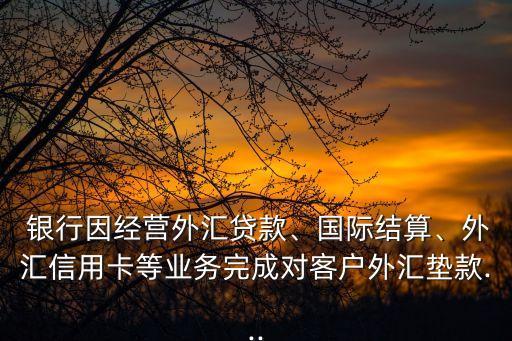  銀行因經(jīng)營(yíng)外匯貸款、國(guó)際結(jié)算、外匯信用卡等業(yè)務(wù)完成對(duì)客戶外匯墊款...