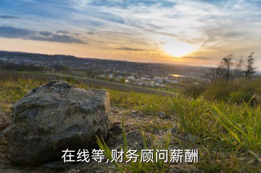 在線(xiàn)等,財(cái)務(wù)顧問(wèn)薪酬