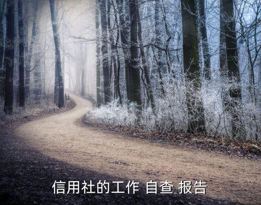 銀行內(nèi)部信貸業(yè)務自查報告,銀行信貸自查報告及整改措施