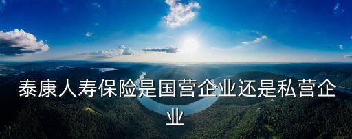  泰康人壽保險(xiǎn)是國營(yíng)企業(yè)還是私營(yíng)企業(yè)