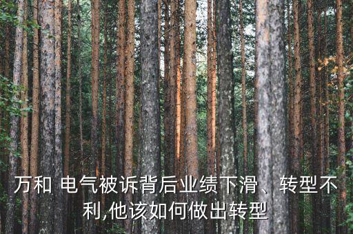 萬(wàn)和 電氣被訴背后業(yè)績(jī)下滑、轉(zhuǎn)型不利,他該如何做出轉(zhuǎn)型