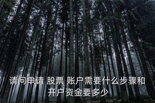 請(qǐng)問申請(qǐng) 股票 賬戶需要什么步驟和 開戶資金要多少