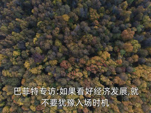  巴菲特專訪:如果看好經濟發(fā)展,就不要猶豫入場時機