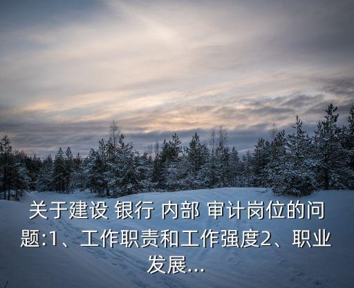 關于建設 銀行 內部 審計崗位的問題:1、工作職責和工作強度2、職業(yè)發(fā)展...