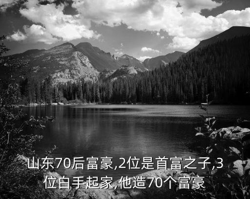 山東70后富豪,2位是首富之子,3位白手起家,他造70個富豪