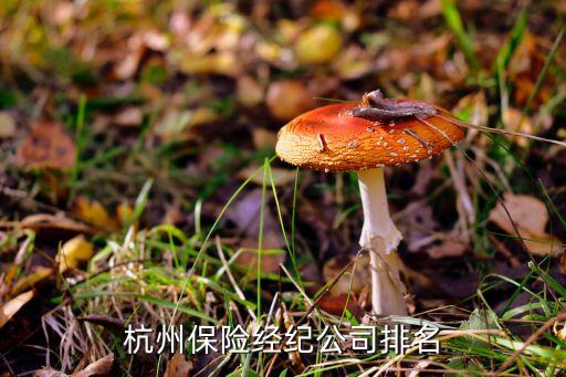 杭州保險經紀公司排名