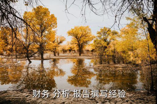 財務(wù) 分析 報告撰寫經(jīng)驗(yàn)