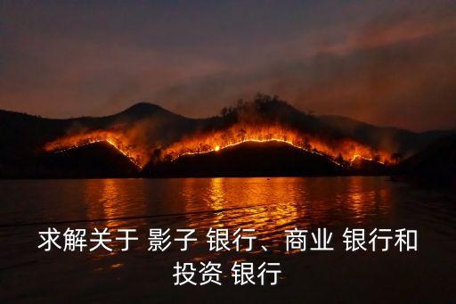 求解關(guān)于 影子 銀行、商業(yè) 銀行和投資 銀行