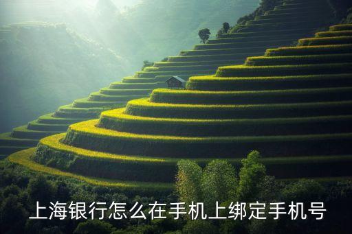  上海銀行怎么在手機(jī)上綁定手機(jī)號(hào)