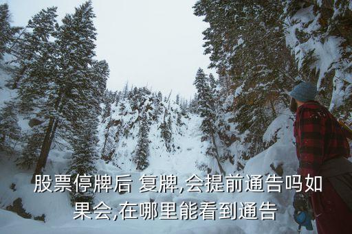 怎么查詢復(fù)牌股票,20年前買(mǎi)的股票怎么查詢