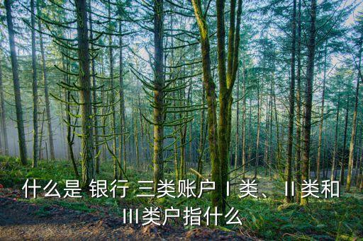 什么是 銀行 三類賬戶Ⅰ類、Ⅱ類和Ⅲ類戶指什么
