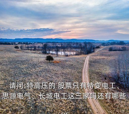 請(qǐng)問(wèn):特高壓的 股票只有特變電工、思源電氣、長(zhǎng)城電工這三家嗎還有哪些...