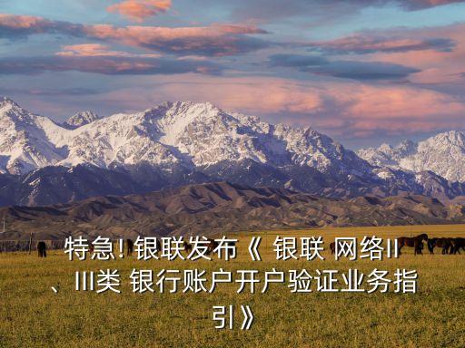特急! 銀聯(lián)發(fā)布《 銀聯(lián) 網(wǎng)絡II、III類 銀行賬戶開戶驗證業(yè)務指引》