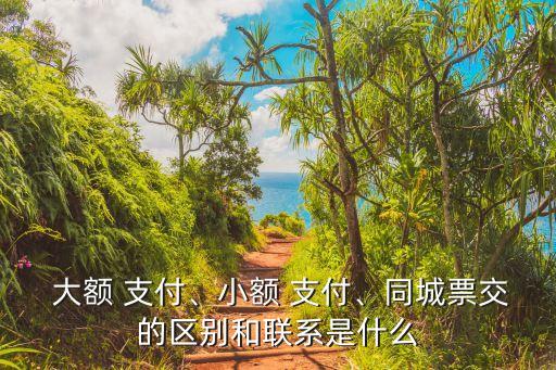  大額 支付、小額 支付、同城票交的區(qū)別和聯(lián)系是什么