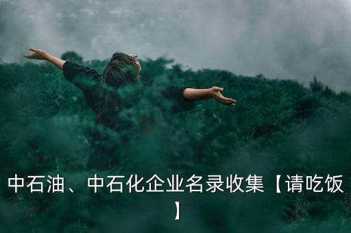中石油、中石化企業(yè)名錄收集【請吃飯】
