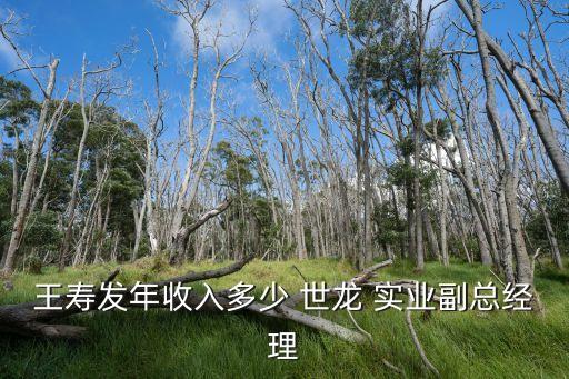 王壽發(fā)年收入多少 世龍 實業(yè)副總經理