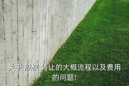 關于 股權 轉(zhuǎn)讓的大概流程以及費用的問題!