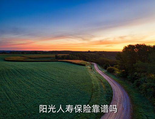 陽光保險(xiǎn)在全國(guó)保險(xiǎn)公司怎么樣