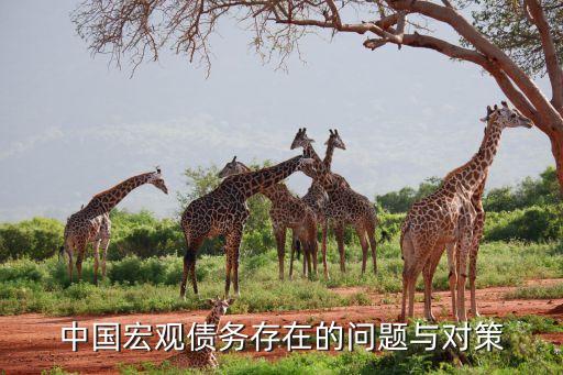中國宏觀債務(wù)存在的問題與對策