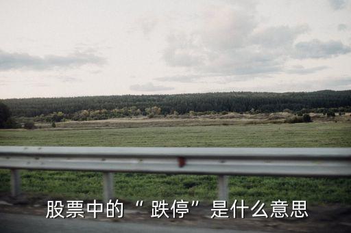  股票中的“ 跌?！笔鞘裁匆馑? class=