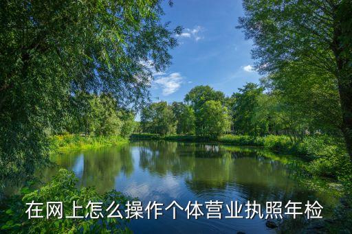 在網上怎么操作個體營業(yè)執(zhí)照年檢