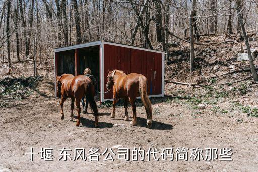 十堰 東風各公司的代碼簡稱那些