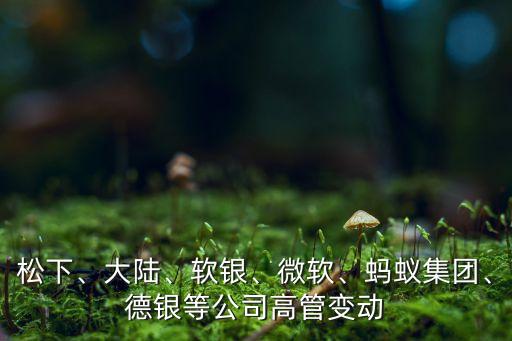 松下、大陸、軟銀、微軟、螞蟻集團(tuán)、德銀等公司高管變動(dòng)