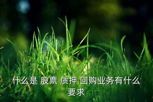 什么是 股票 質(zhì)押 回購業(yè)務有什么要求