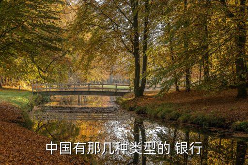銀行分那三類(lèi),銀行賬戶(hù)三類(lèi)戶(hù)可以