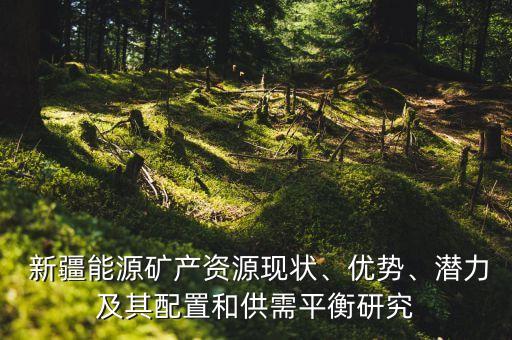  新疆能源礦產(chǎn)資源現(xiàn)狀、優(yōu)勢、潛力及其配置和供需平衡研究