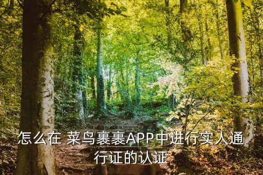 怎么在 菜鳥(niǎo)裹裹APP中進(jìn)行實(shí)人通行證的認(rèn)證