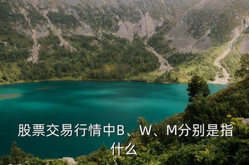  股票交易行情中B、W、M分別是指什么