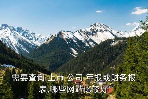 需要查詢(xún) 上市 公司 年報(bào)或財(cái)務(wù)報(bào)表,哪些網(wǎng)站比較好