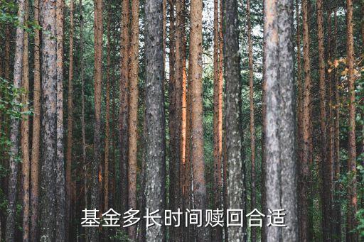 基金購(gòu)買最快什么時(shí)候可以拿出來,當(dāng)天購(gòu)買基金凈值按什么時(shí)候的