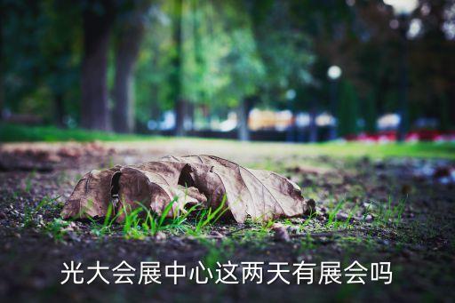中國上海國際婚紗攝影器材展覽會,上?；榧啍z影器材展2023時間