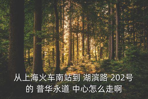 從上?；疖嚹险镜?湖濱路 202號的 普華永道 中心怎么走啊