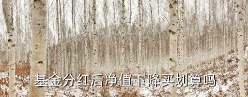  基金分紅后凈值下降買(mǎi)劃算嗎
