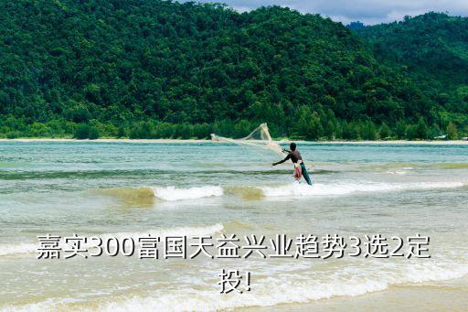 嘉實(shí)300富國(guó)天益興業(yè)趨勢(shì)3選2定投!
