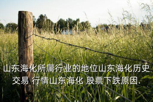山東海化所屬行業(yè)的地位山東?；瘹v史交易 行情山東海化 股票下跌原因...