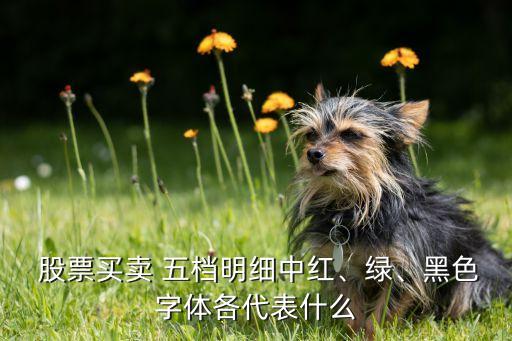  股票買(mǎi)賣(mài) 五檔明細(xì)中紅、綠、黑色字體各代表什么