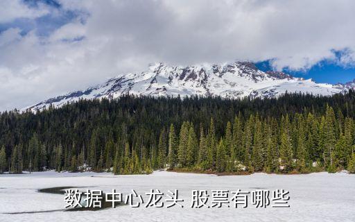 數據中心龍頭 股票有哪些