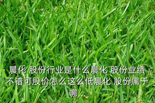 星辰化工新材料股份有限公司,青?；ば虏牧?集團)股份有限公司