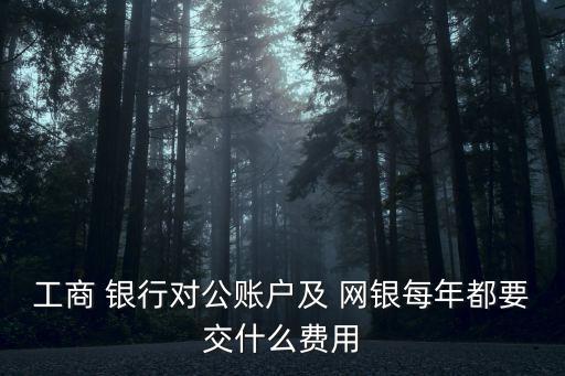 工商 銀行對公賬戶及 網銀每年都要交什么費用